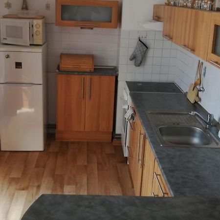 Plne Vybaveny 2+1Byt S Balkonem A Koji Pro Kola A Lyze. Rokytnice v Orlických Horách Dış mekan fotoğraf