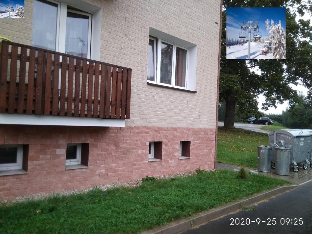 Plne Vybaveny 2+1Byt S Balkonem A Koji Pro Kola A Lyze. Rokytnice v Orlických Horách Dış mekan fotoğraf