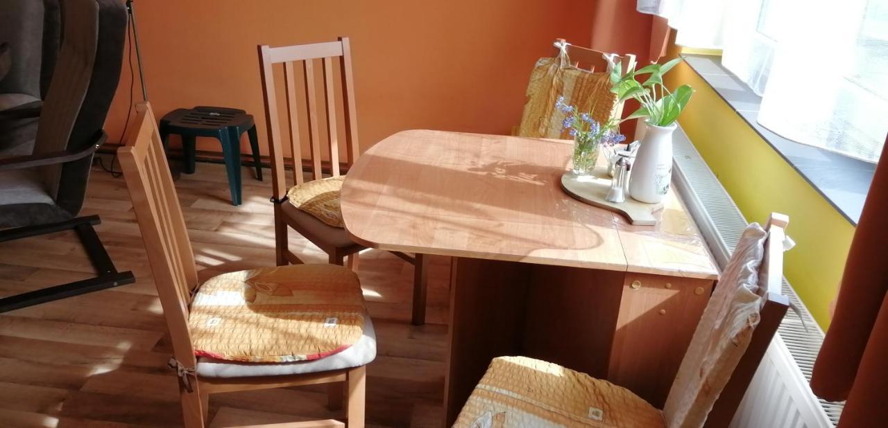 Plne Vybaveny 2+1Byt S Balkonem A Koji Pro Kola A Lyze. Rokytnice v Orlických Horách Dış mekan fotoğraf