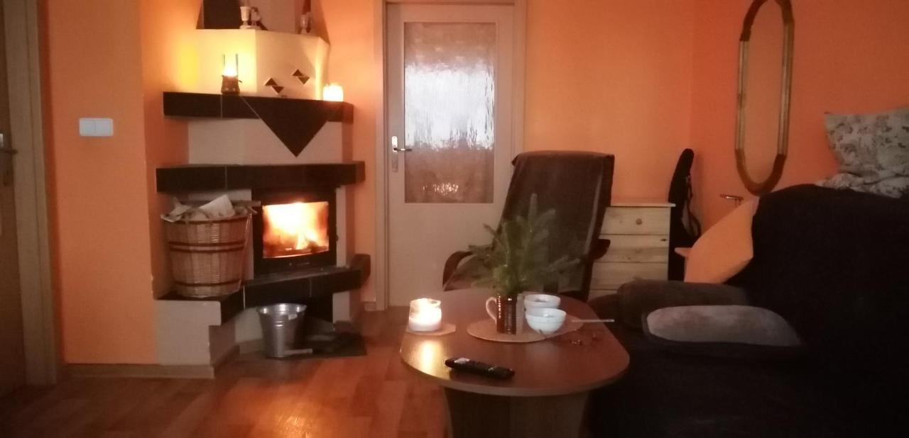 Plne Vybaveny 2+1Byt S Balkonem A Koji Pro Kola A Lyze. Rokytnice v Orlických Horách Dış mekan fotoğraf