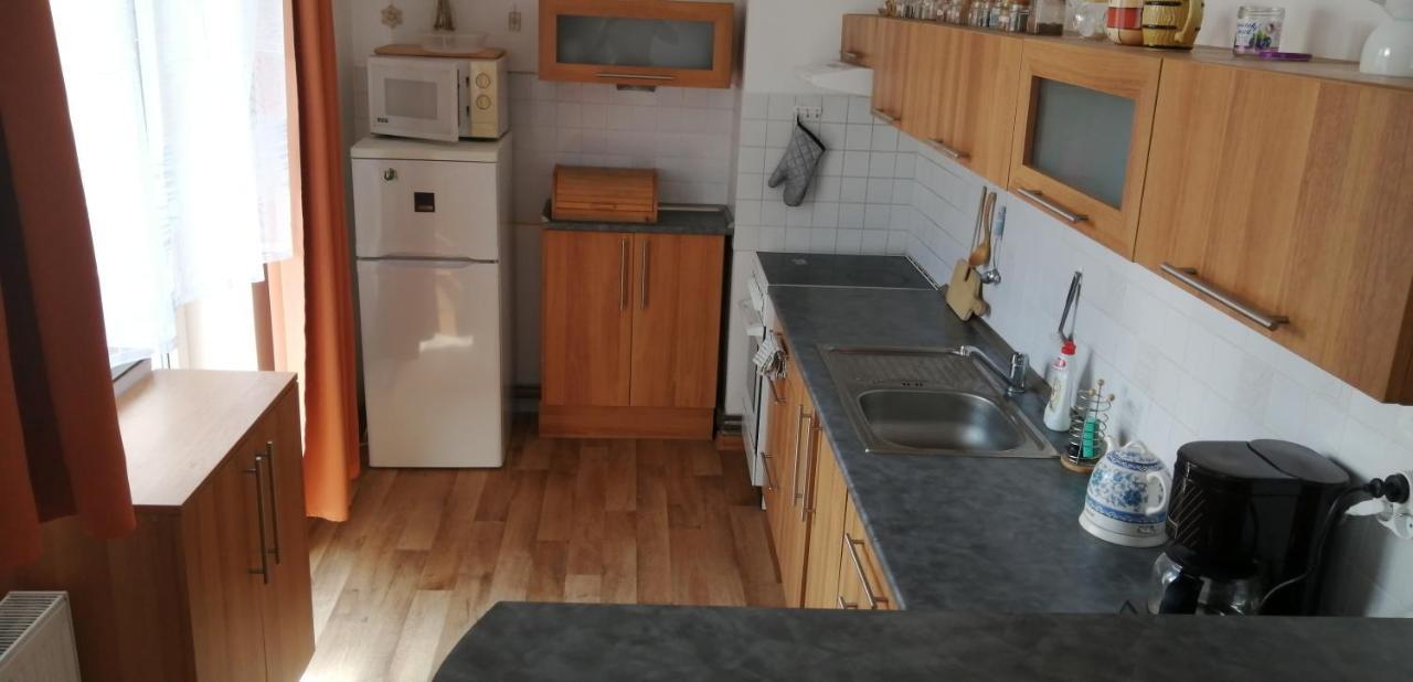 Plne Vybaveny 2+1Byt S Balkonem A Koji Pro Kola A Lyze. Rokytnice v Orlických Horách Dış mekan fotoğraf